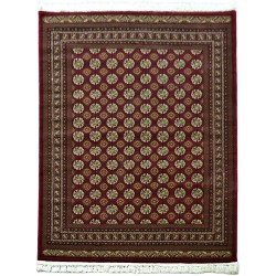 Χαλί CORDOBA 1649 CHERRY 160x230 Χαλί CORDOBA 1649 CHERRY 160x230