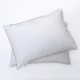 ΜΑΞΙΛΑΡΙ ΥΠΝΟΥ MICROFIBER 800 GSM 50 x70 ΜΑΞΙΛΑΡΙ ΥΠΝΟΥ MICROFIBER 800 GSM 50 x70