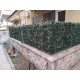  Φυλλωσιά με Πλαστικό Πλέγμα 100x300cm  Chios Hellas