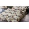 Σετ Σεντόνια  Μονά  με Λάστιχο 100x200x25 Melios Home S 8530